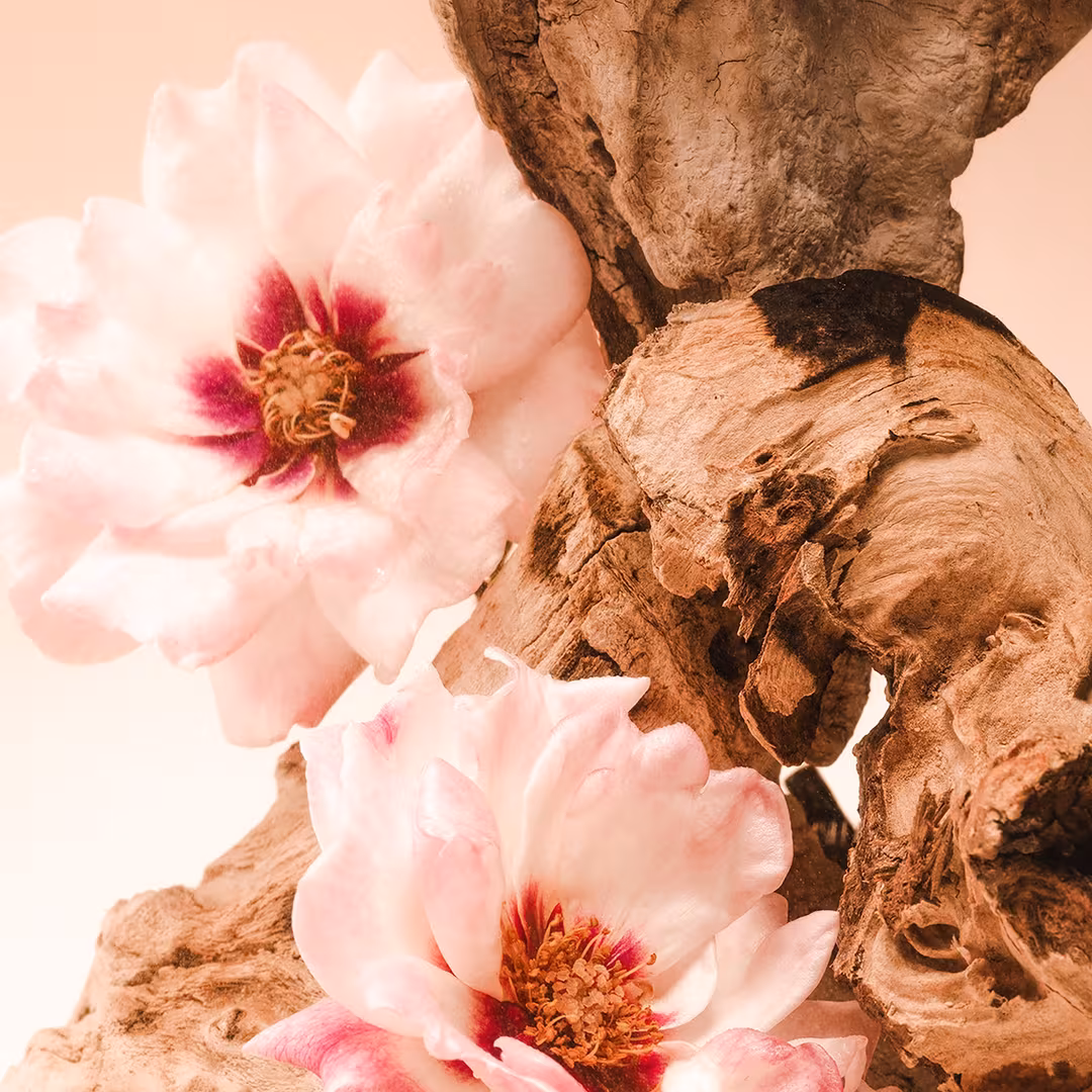 Santal Bloom Skincare Deodorant
