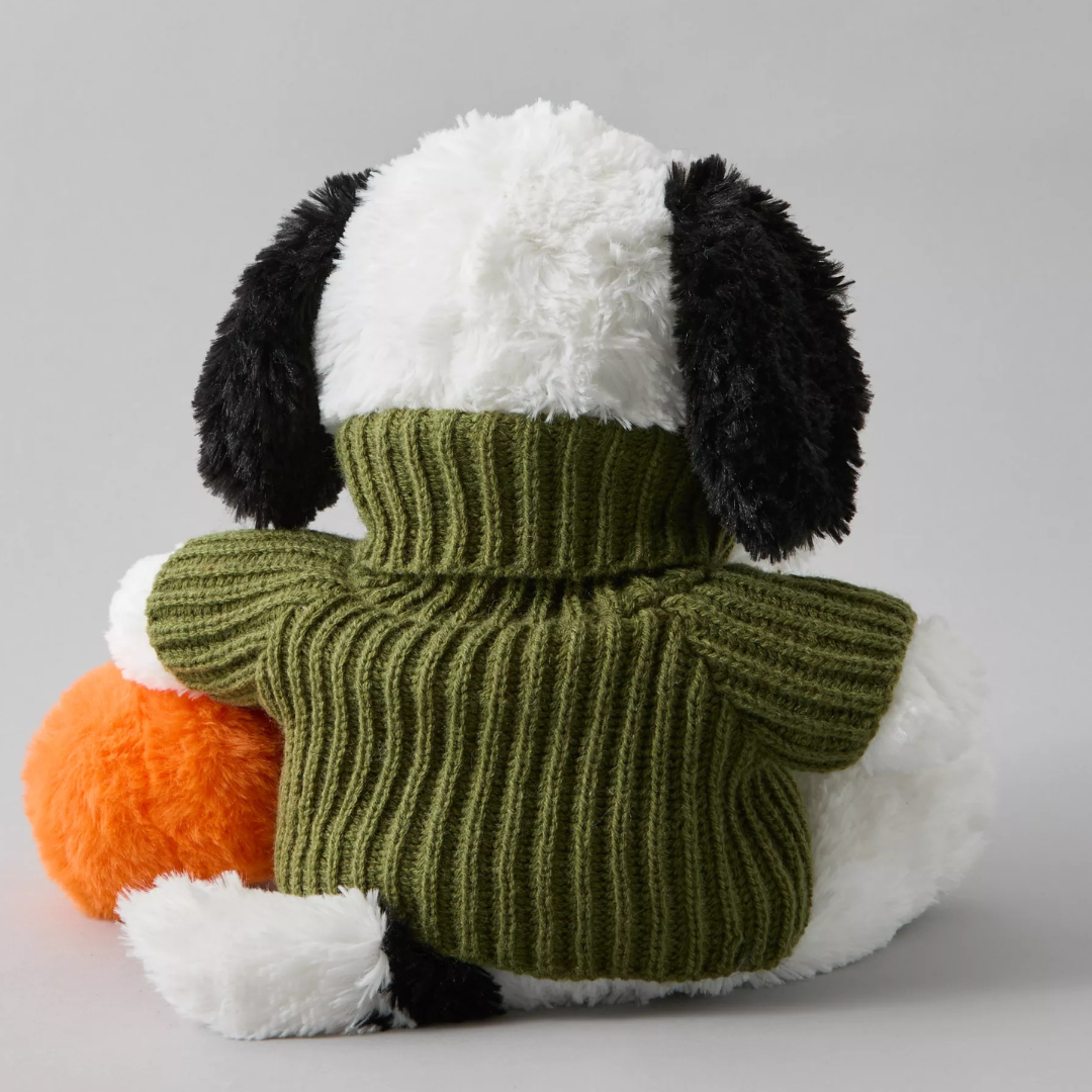 Warmies Sweater Snoopy