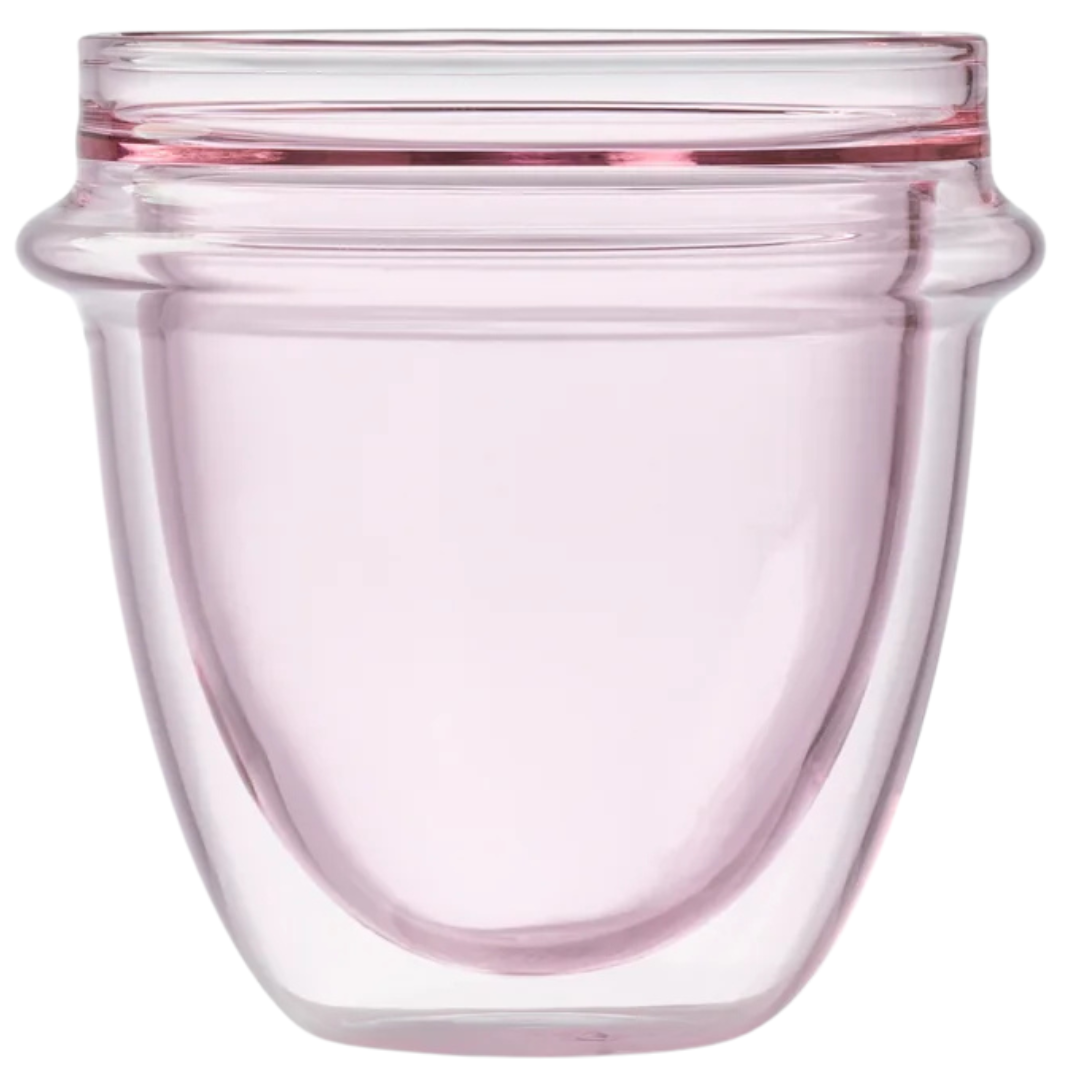 Insulated Cup