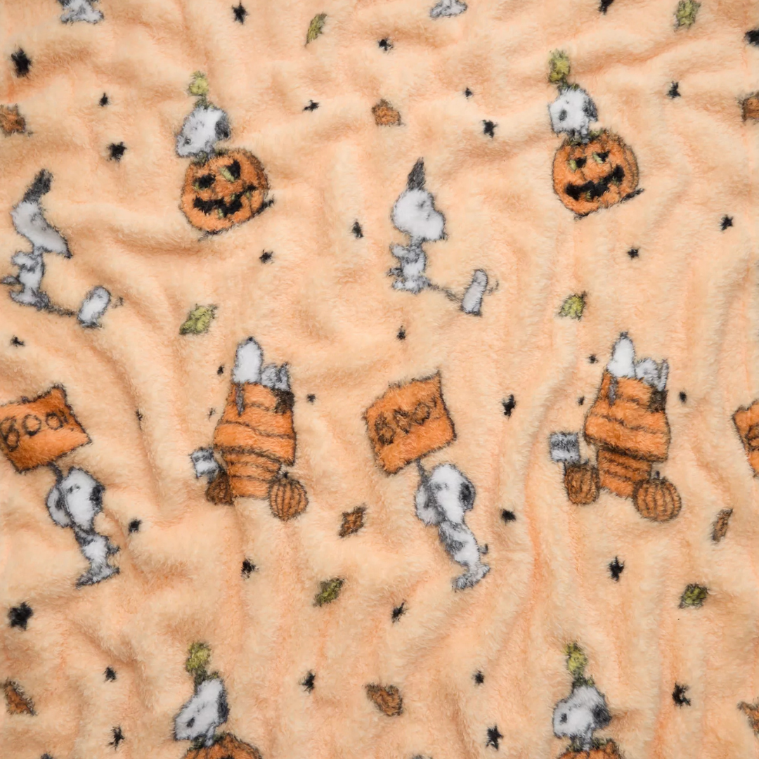 Snoopy Halloween Blanket