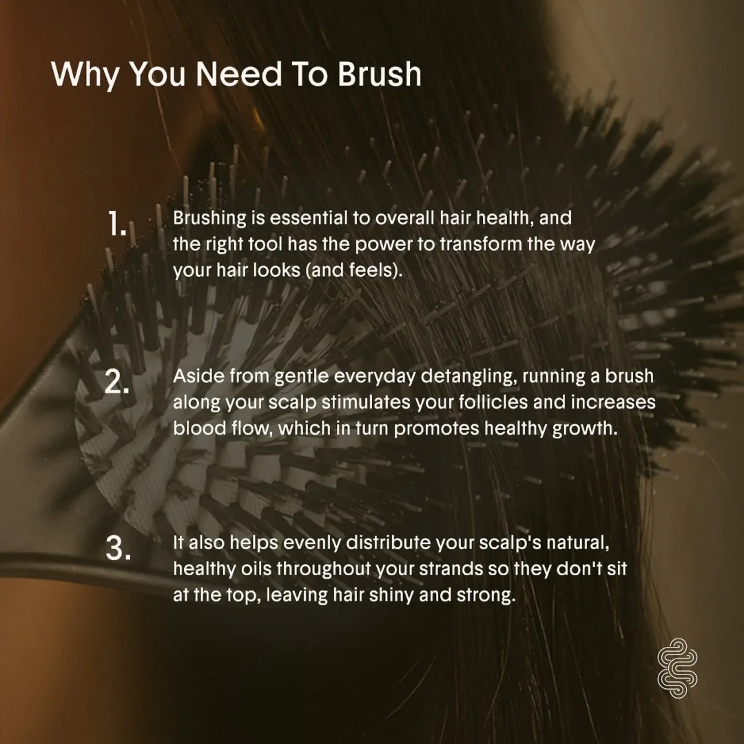 The Dual-Bristle Boar Brush No. 001