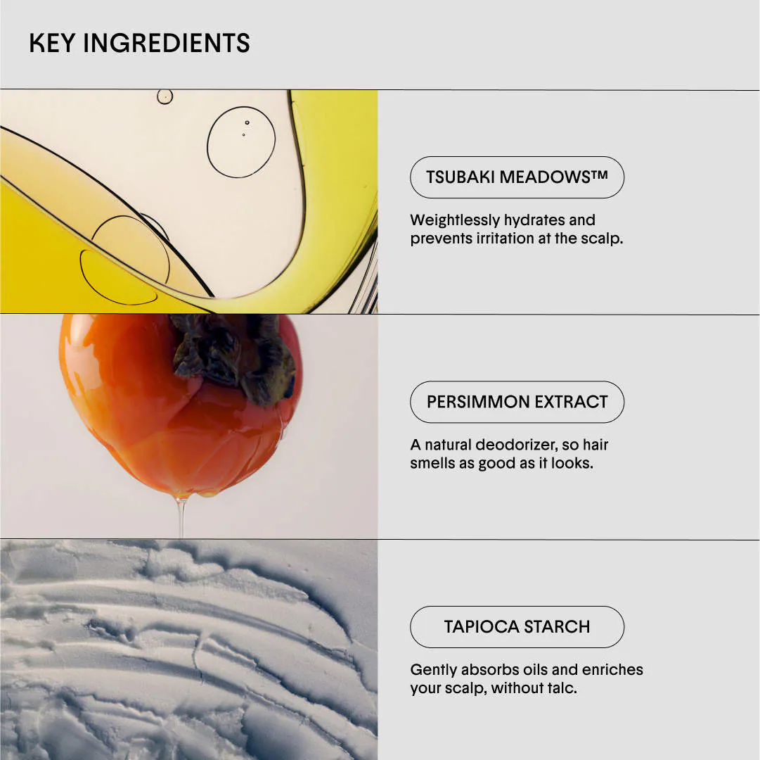 The Dry Shampoo Powder